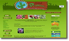 ecommerce customer